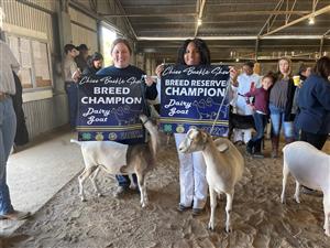  Chico Buckle Winners